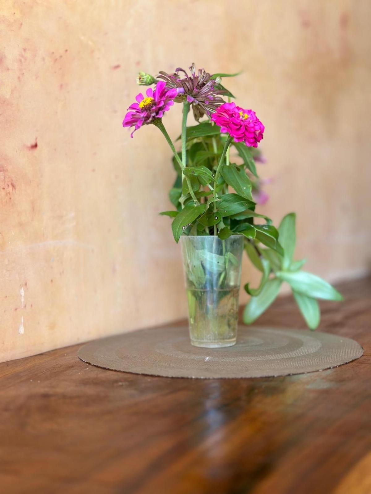 Casa Jasmin Bed & Breakfast Troncones Ngoại thất bức ảnh