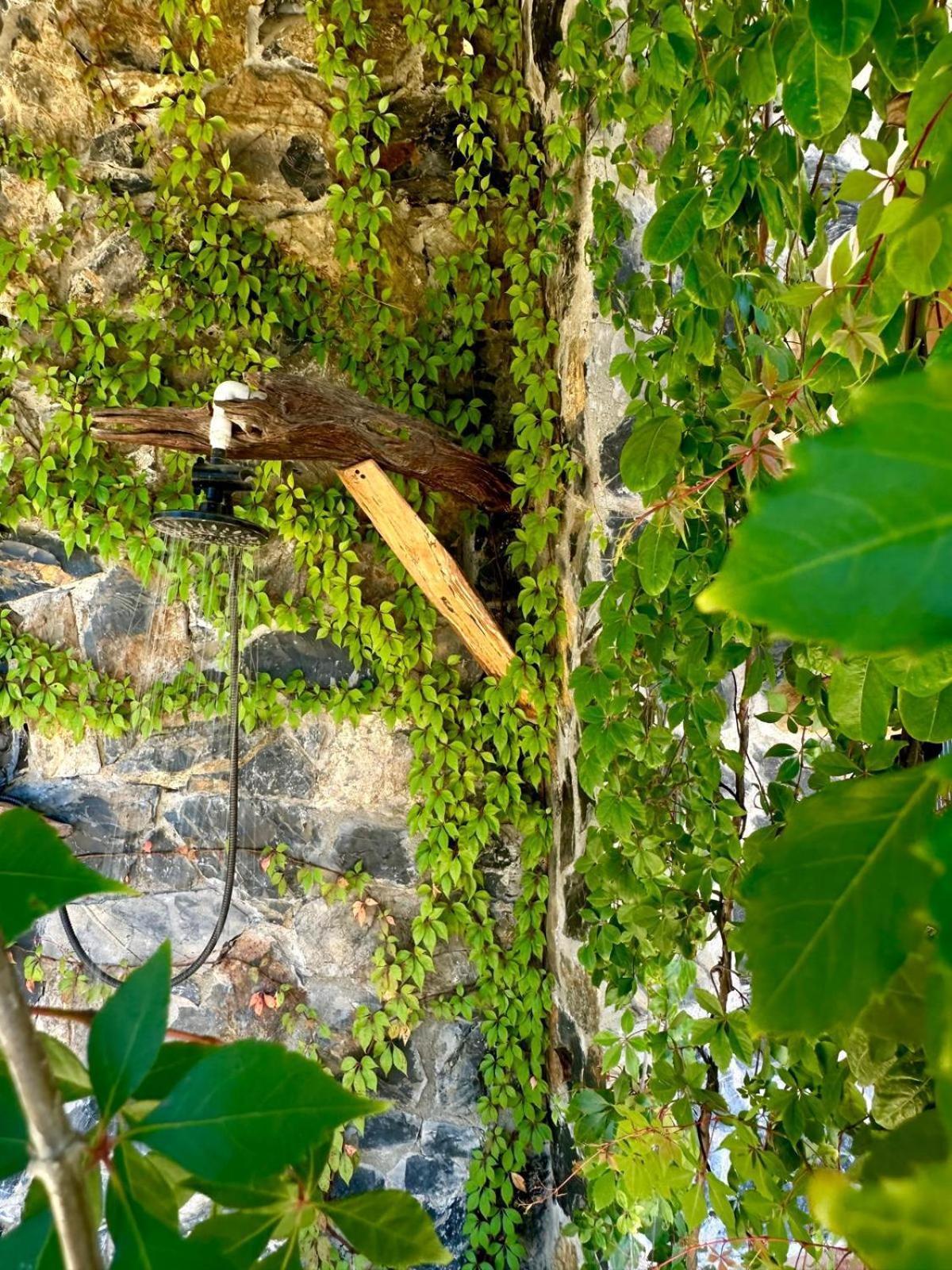 Casa Jasmin Bed & Breakfast Troncones Ngoại thất bức ảnh